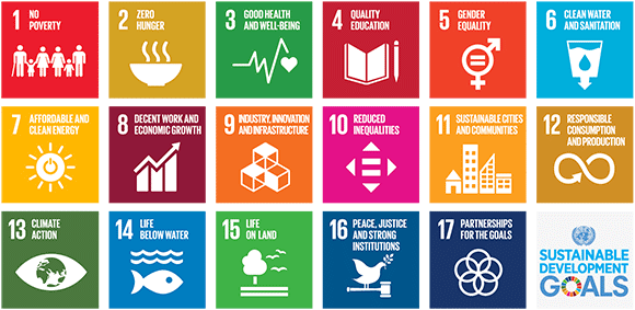 link ai 17 Sustainable Development Goals