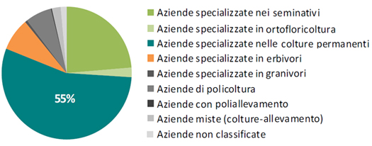 grafico