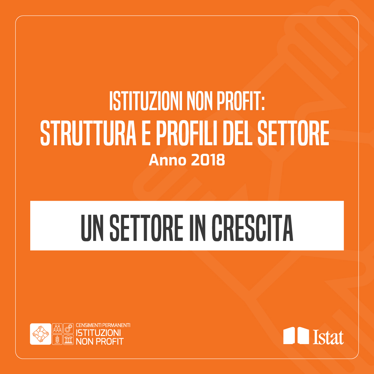 Istituzioni non profit- Un settore in crescita