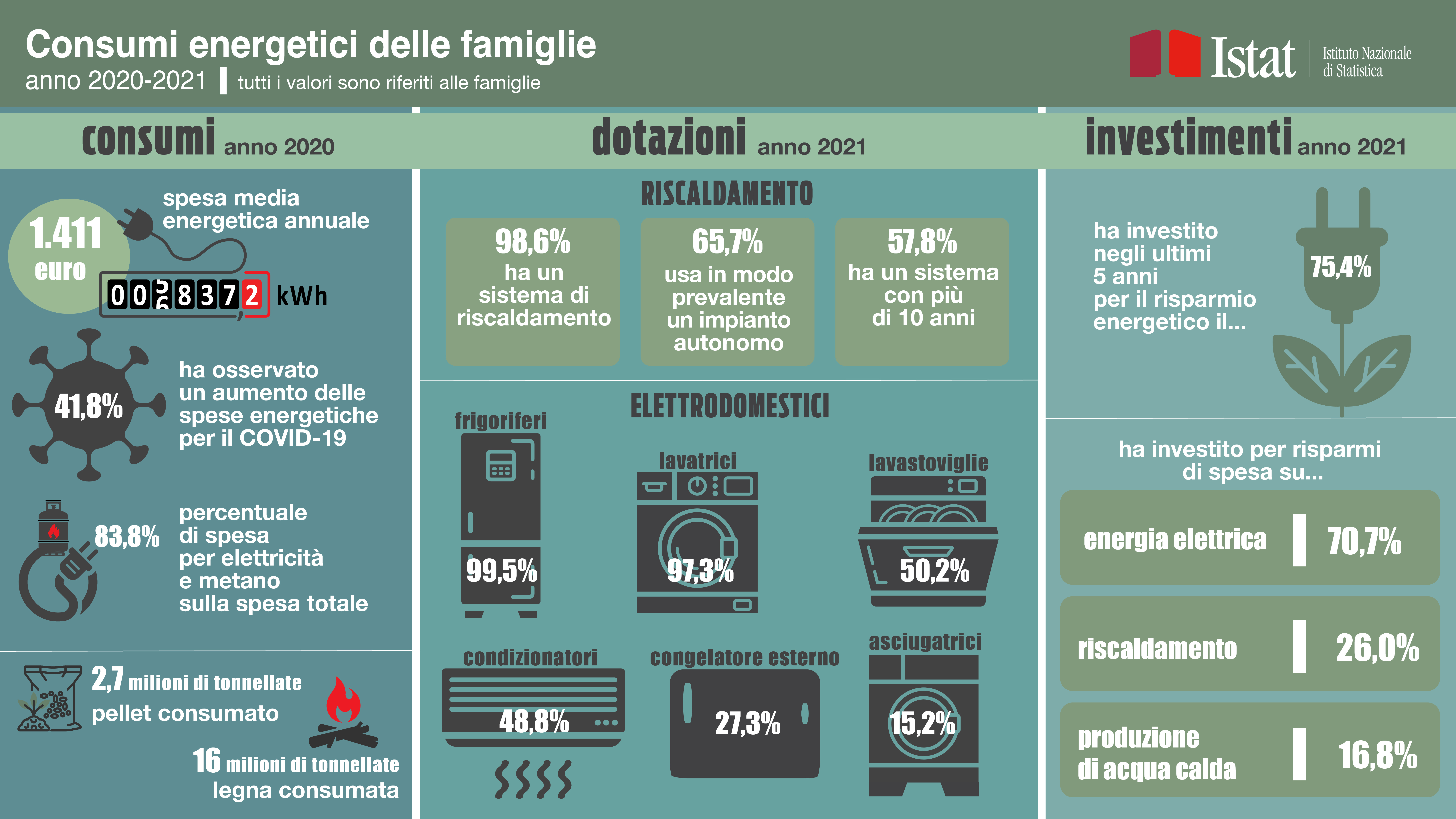 immagine di infografica con titolo Consumi energetici delle famiglie
