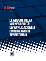 Le misure della vulnerabilità: un'applicazione a diversi ambiti territoriali