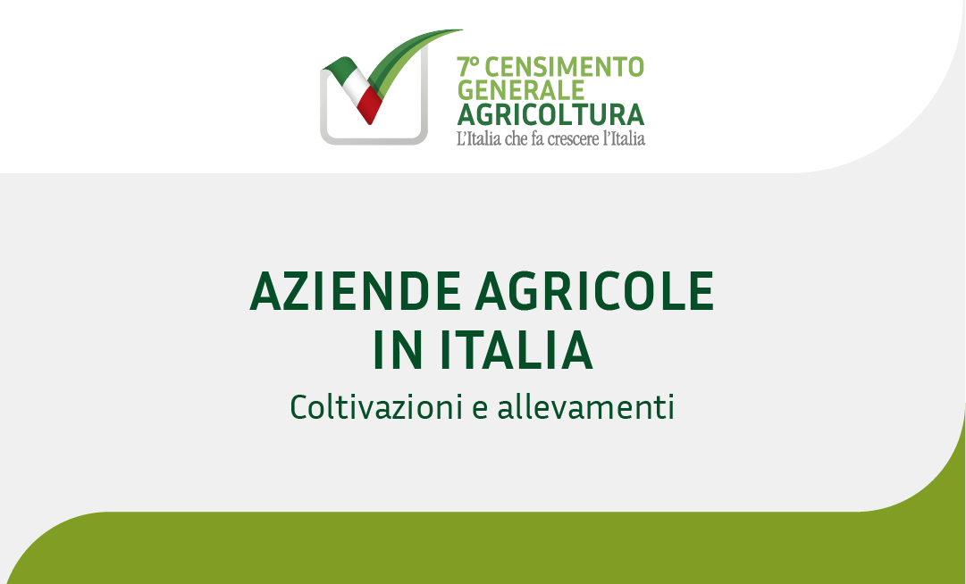 Le infografiche del 7° Censimento Generale dell'agricoltura