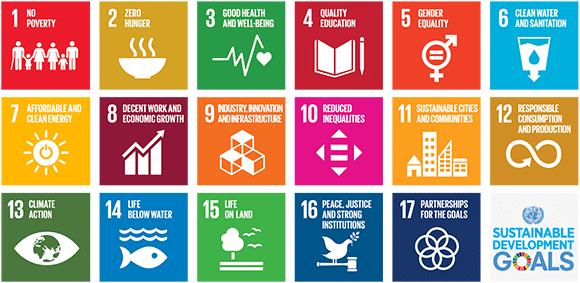 17 Sustainable Development Goals
